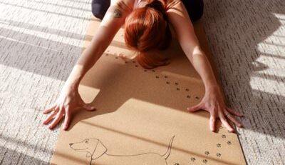 NAYAVITA Yoga ranní jóga večerní jóga jóga ráno jóga večer nejlepší čas na cvičení kdy cvičit jógu ranní cvičení cvičení večer cvičení ráno