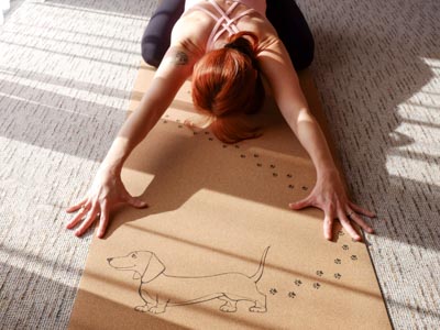 NAYAVITA Yoga ranní jóga večerní jóga jóga ráno jóga večer nejlepší čas na cvičení kdy cvičit jógu ranní cvičení cvičení večer cvičení ráno